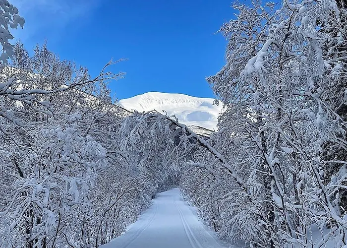 Apartamento And Charming With Free Parking *