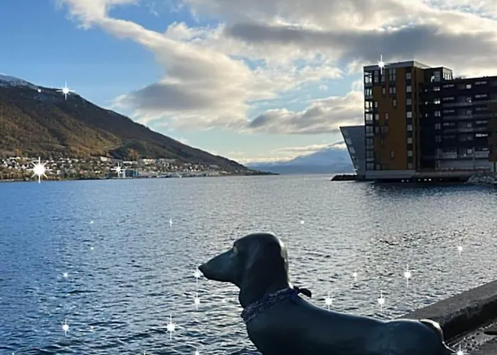 Apartamento And Charming With Free Parking