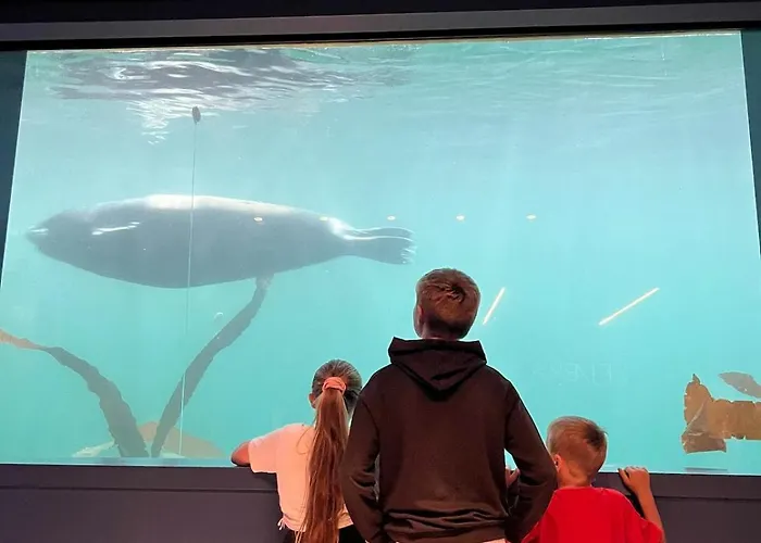 And Charming With Free Parking Apartamento Tromsø