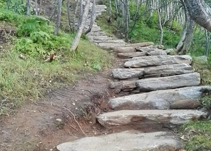 And Charming With Free Parking Apartamento